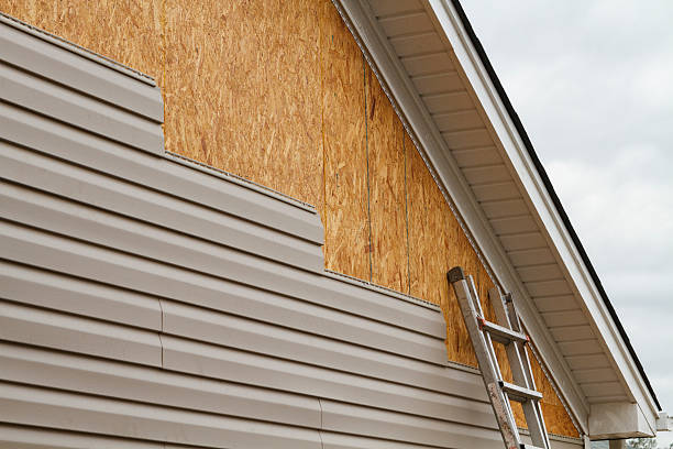 Professional Siding Repair technician working in Clifton, IL